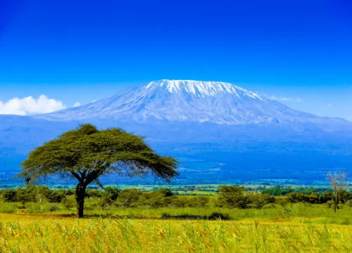 5-Day Kilimanjaro Climb – Marangu Route
