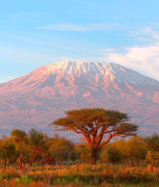Climb Kilimanjaro