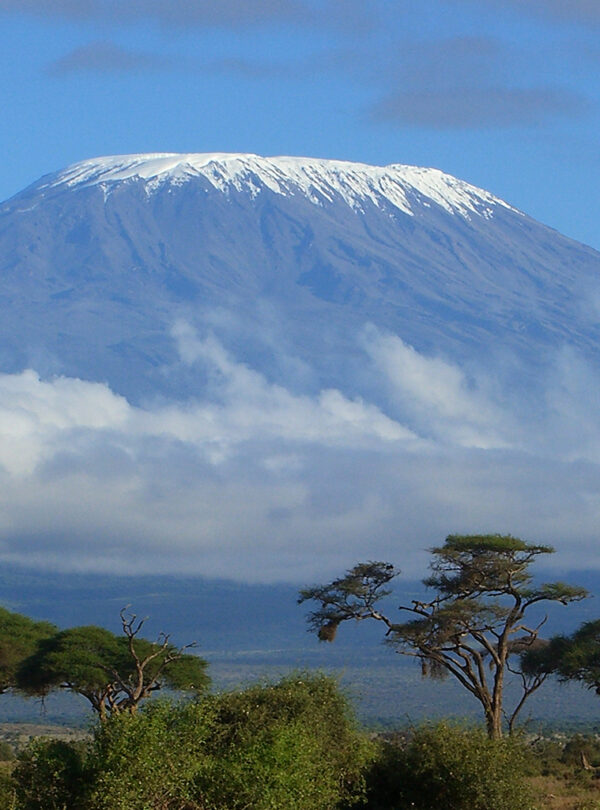 cropMount-Kilimanjaro