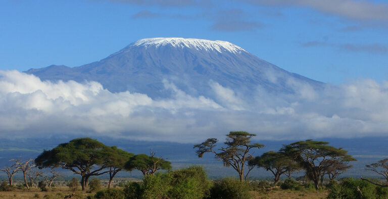 cropMount-Kilimanjaro